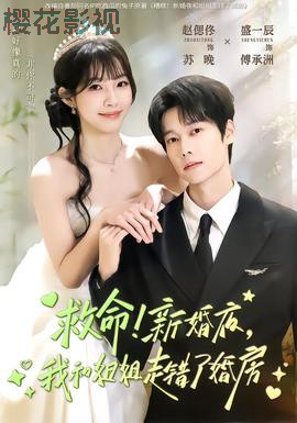 救命！新婚夜，我和姐姐走错了婚房