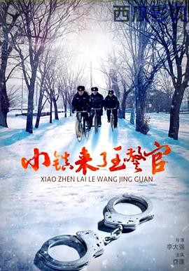 小镇来了王警官
