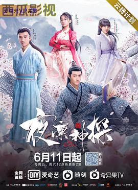 夜凛神探第一季