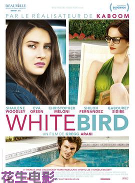 暴风雪中的白鸟