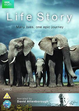 生命故事