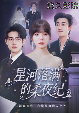 星河落满的柔夜纪