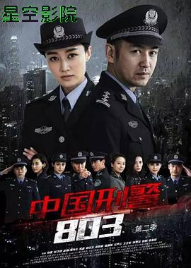 中国刑警803英雄本色