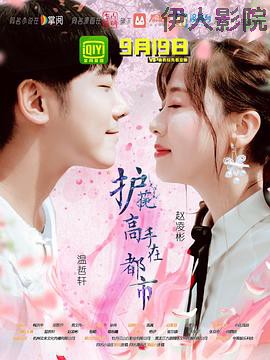 护花高手在都市