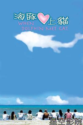 海豚爱上猫