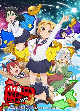 八十龟酱观察日记第二季