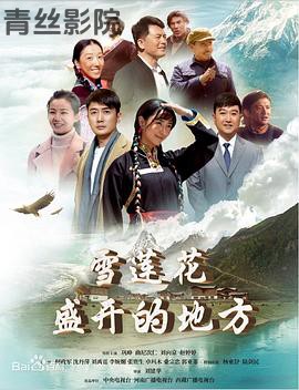 雪莲花盛开的地方