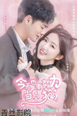 今天也要努力当只猫