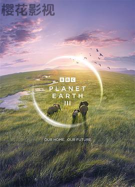 地球脉动第三季