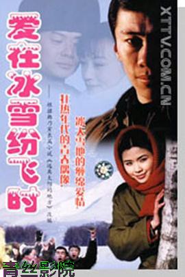 爱在冰雪纷飞时